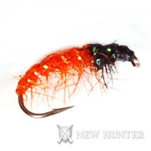 Orange Shrimp CN01