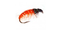 Orange Shrimp CN01